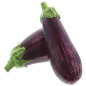 AUBERGINE TIGREE GRAFFITI 5KG